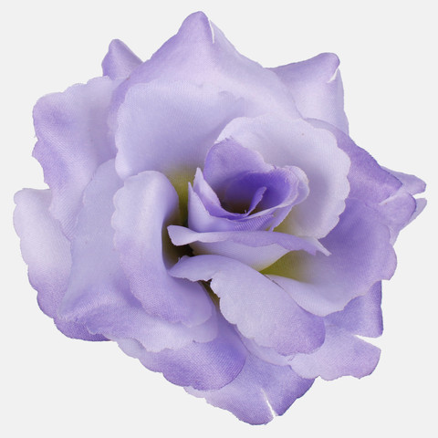 Rose, Lilac W529-06