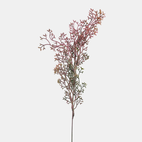 Asparagus, Lt. Pink A790K-02