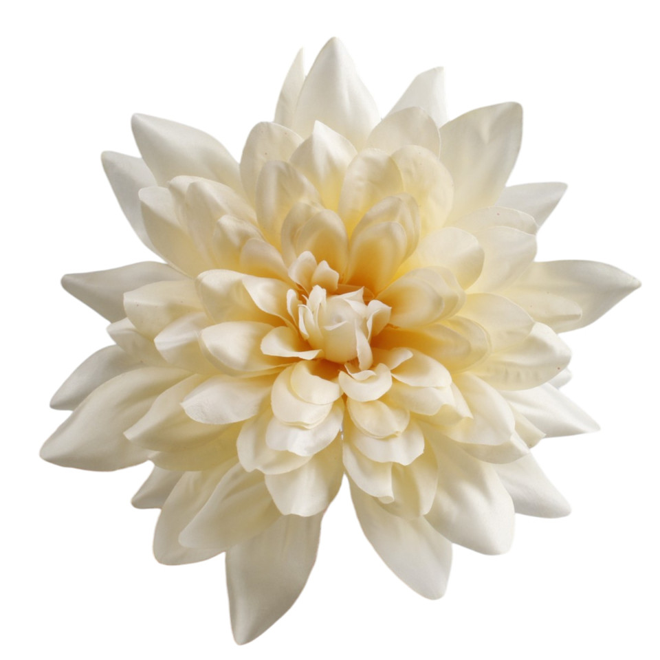 Dalia, Vanilla W170-40