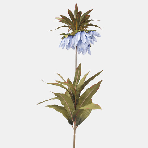 Crown imperial, Blue L020-07