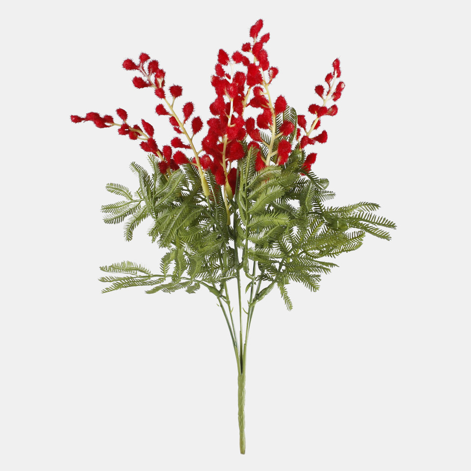 Mimoza bukiet x 5, Red A723-03