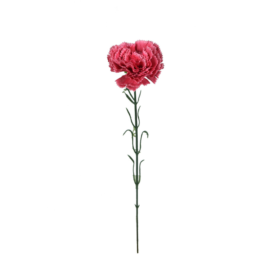 Goździk - gałązka 53 cm, m K402-m