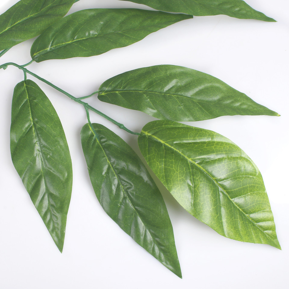 Nut, Green F240-01