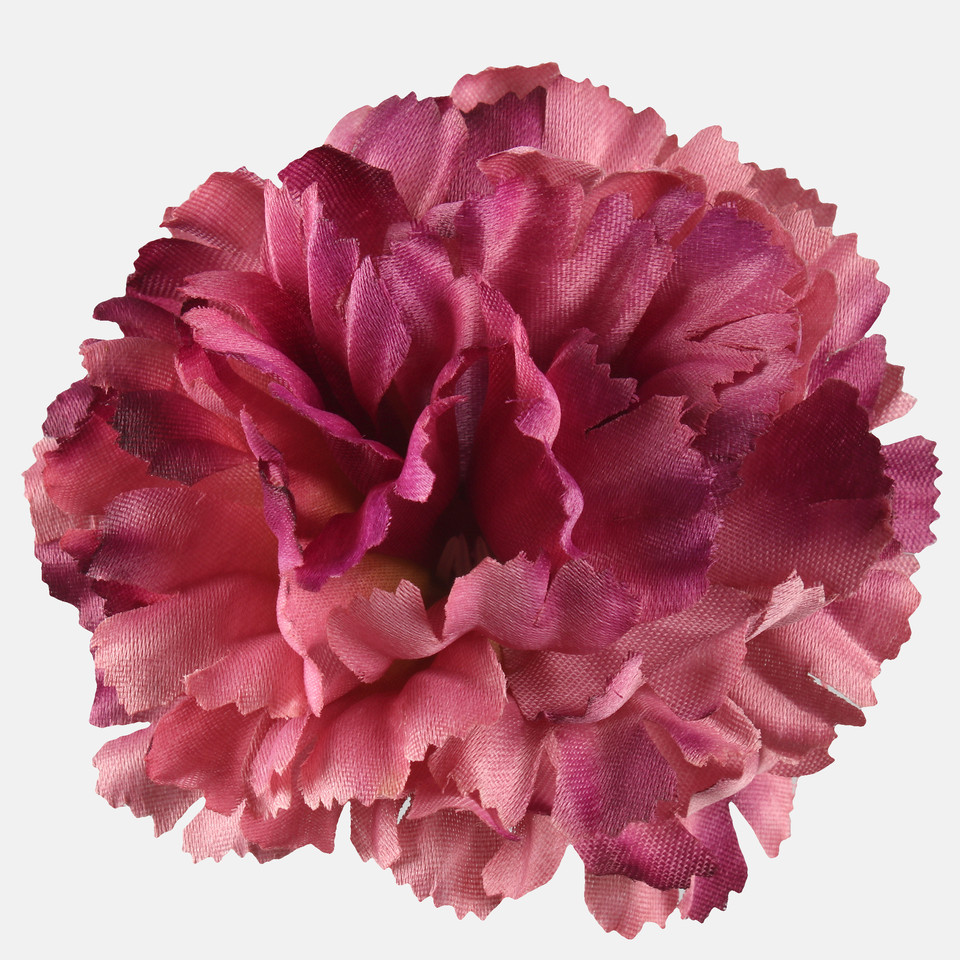 Goździk satynowy, Autumn Mauve/Violet W616-39