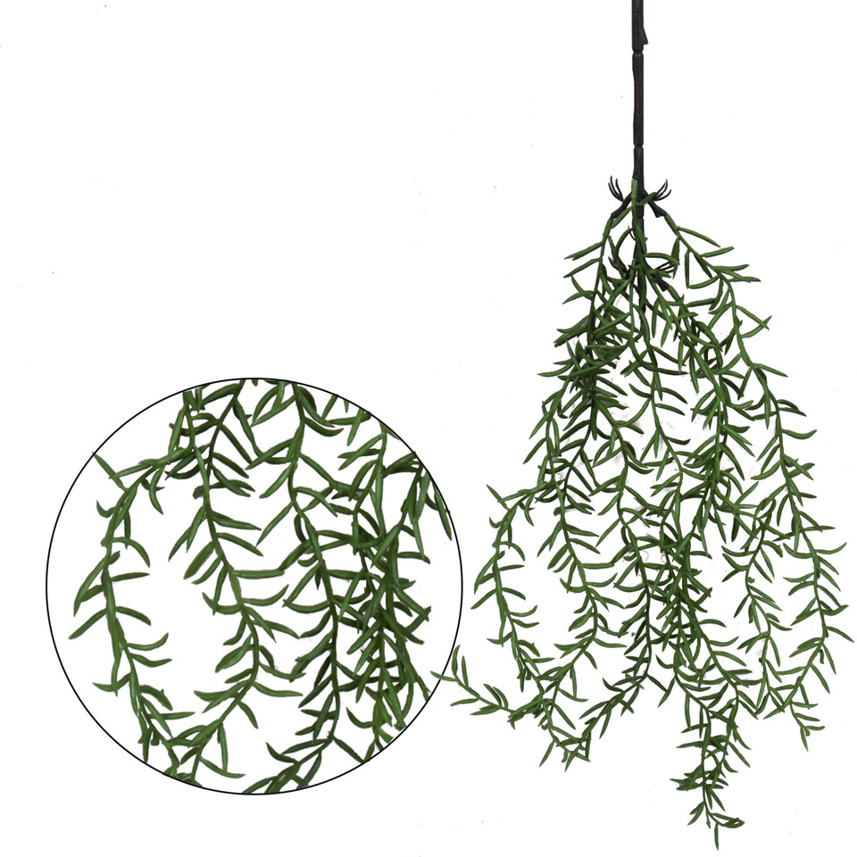 Asparagus - zwis 65 cm, green B217-00