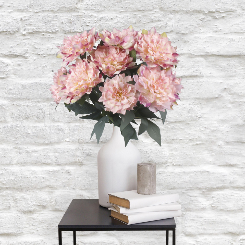 Peony Q355-01