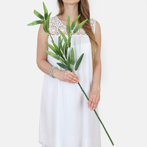 Bamboo A661 (Product size)