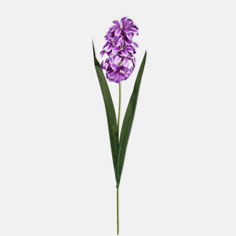 Hiacynt, Violet G452-06