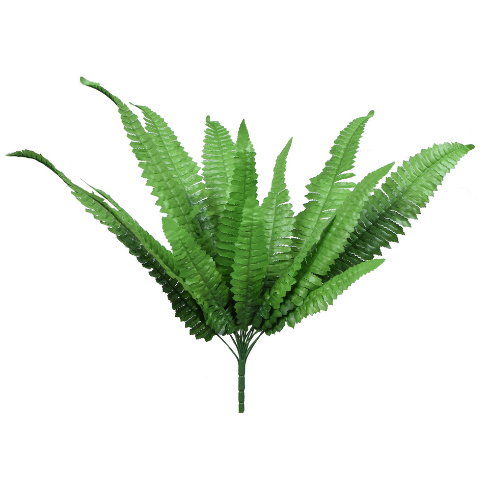 Paproć - bukiet 59 cm, green R587-00