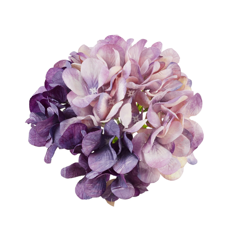 Hortensja - główka, 05 violet B136-05