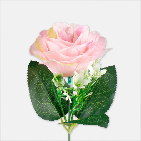 Róża, Lt. Pink/Lt. Green Edge G435-03