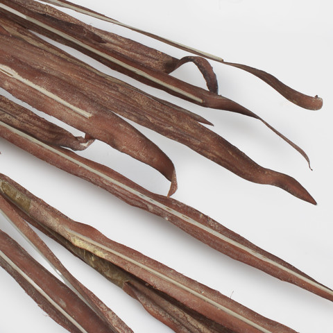 A bunch of artificial autumn grass, Mix 1 A761Y-01