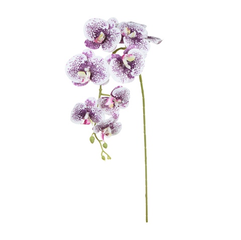 Storczyk - gałązka gumowana 102 cm, cream violet dot GK560-08