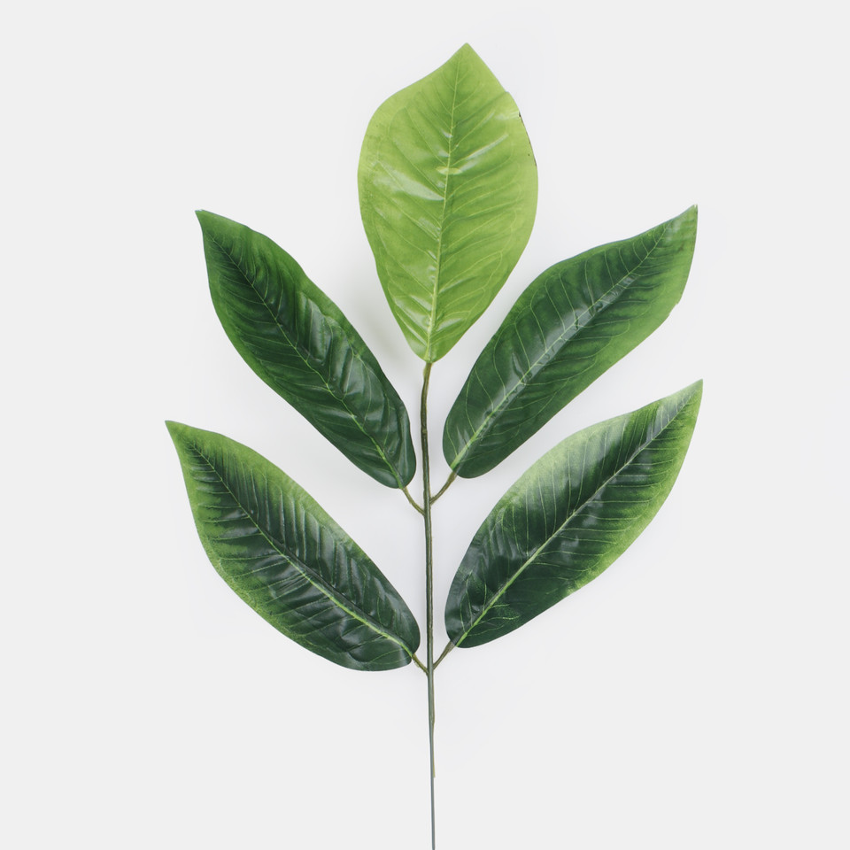 Mango, Green/Lt. Green F003
