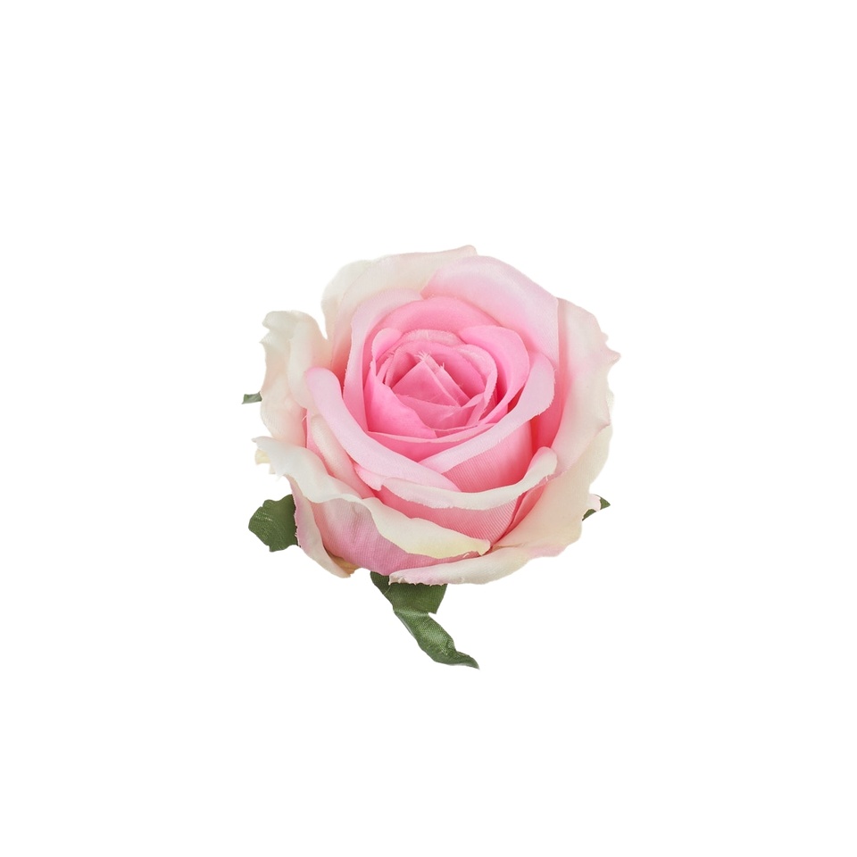 Róża – główka, #202 pink/cream B53-202