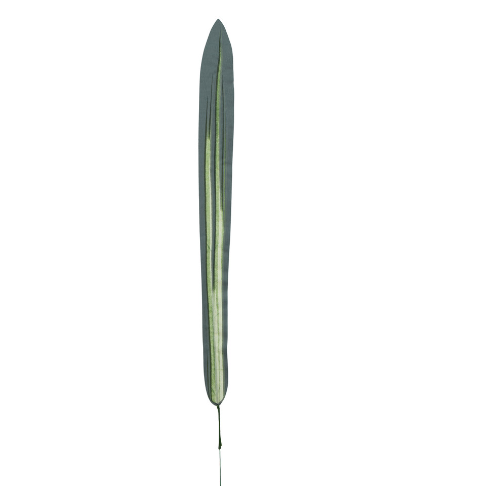 Dracena - liść 65 cm L606-00