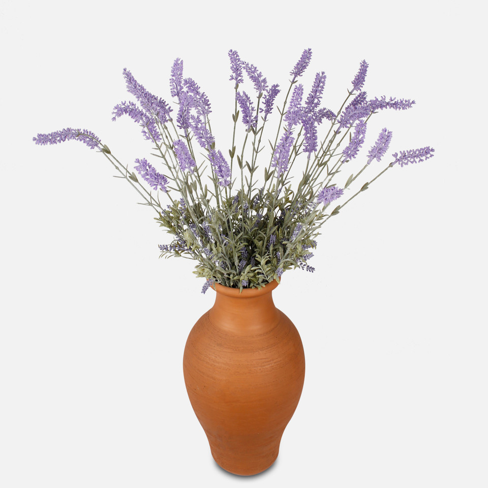 Lawenda x 3, Lavender A665-01
