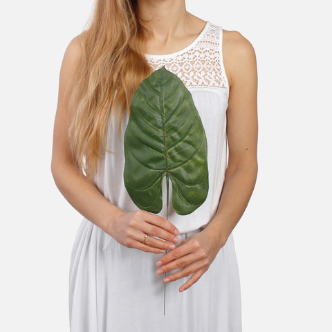 Anthurium leaf A302 (Product size)