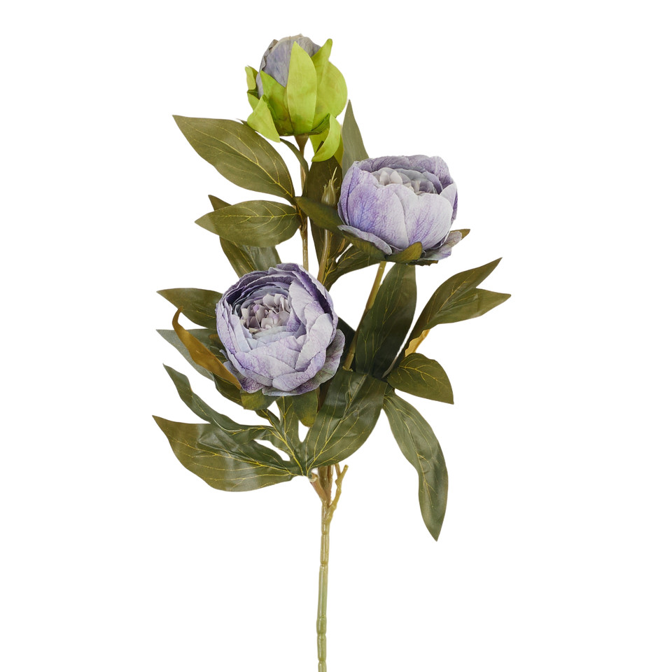Peonia – gałązka x3, 31 B38-31