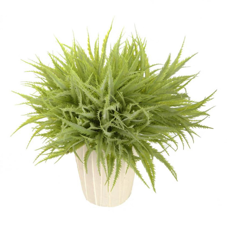 Aloes - gałązka 30 cm, lt.green L185-00