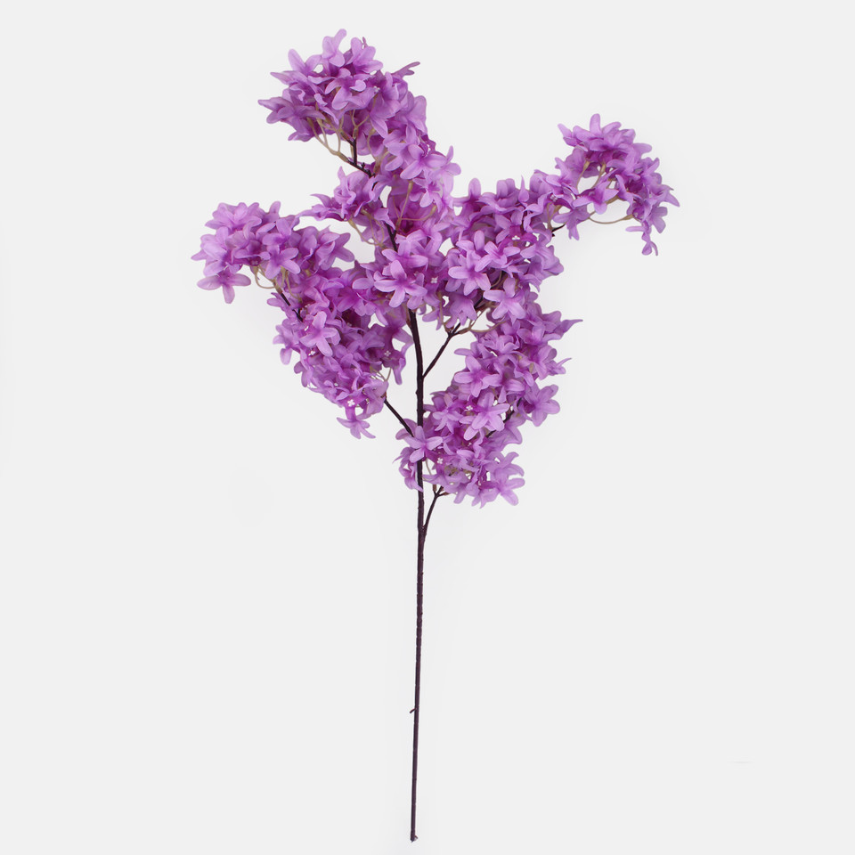 Bez, Lilac L262-02