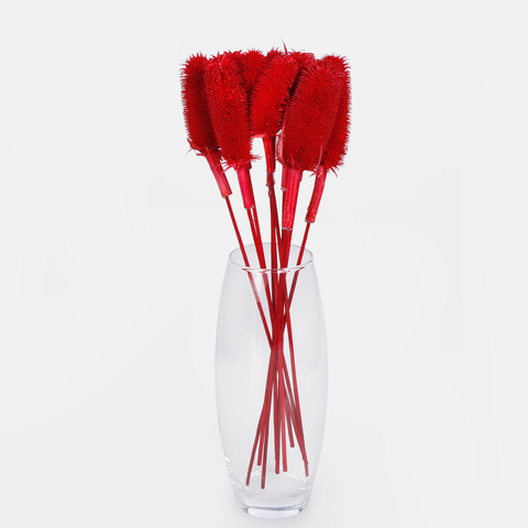 Dried natural thistle, Red Y607-05