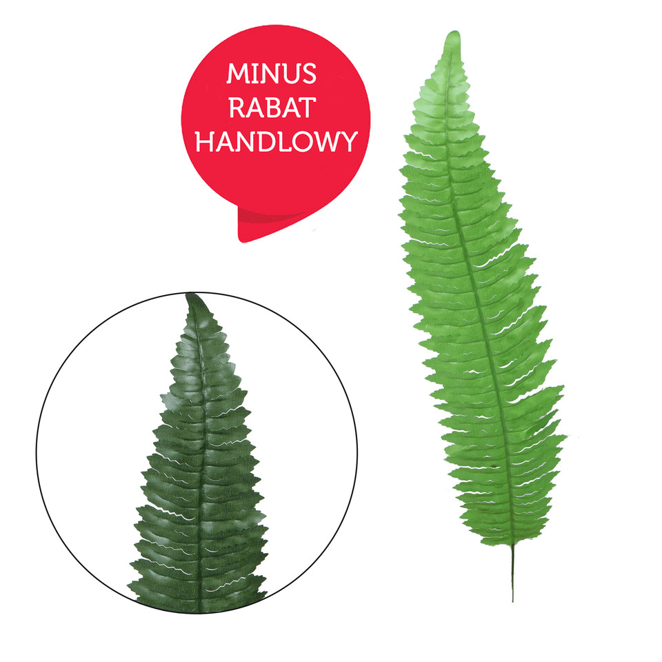 Paproć - liść 55 cm, green L490-01