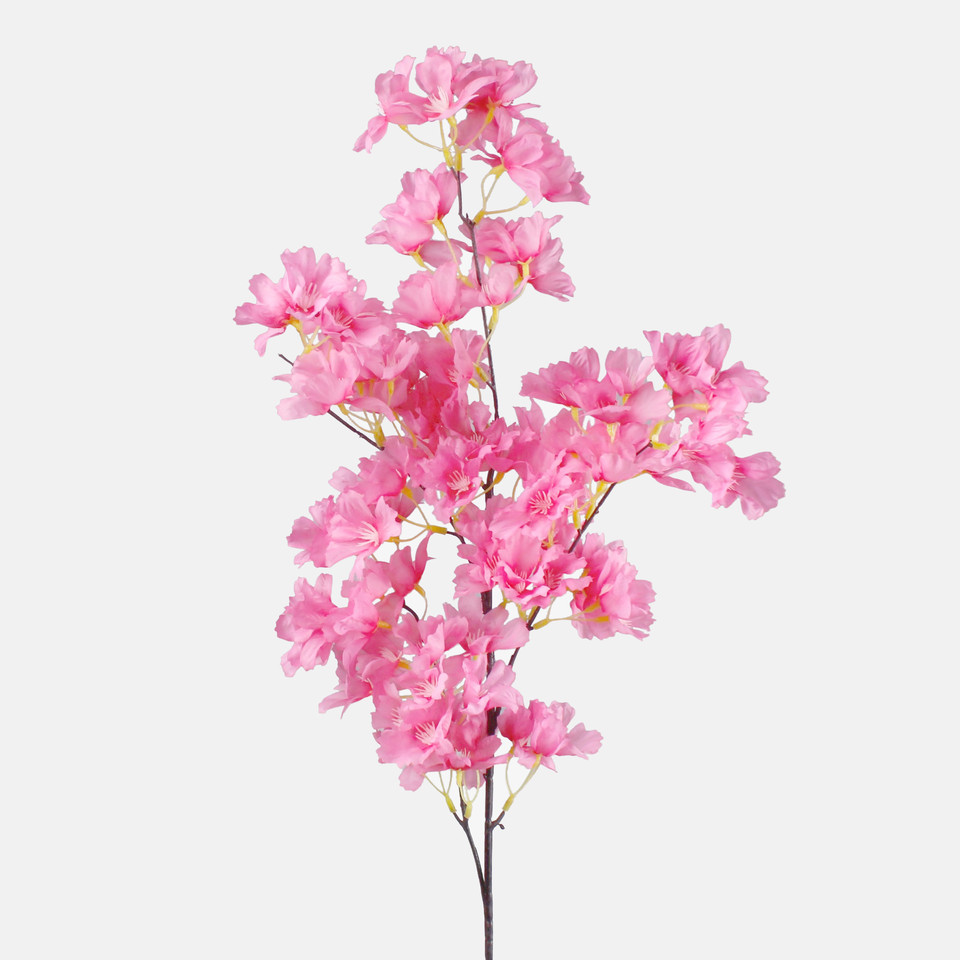 Jabłoń x 5, Pink L261-04