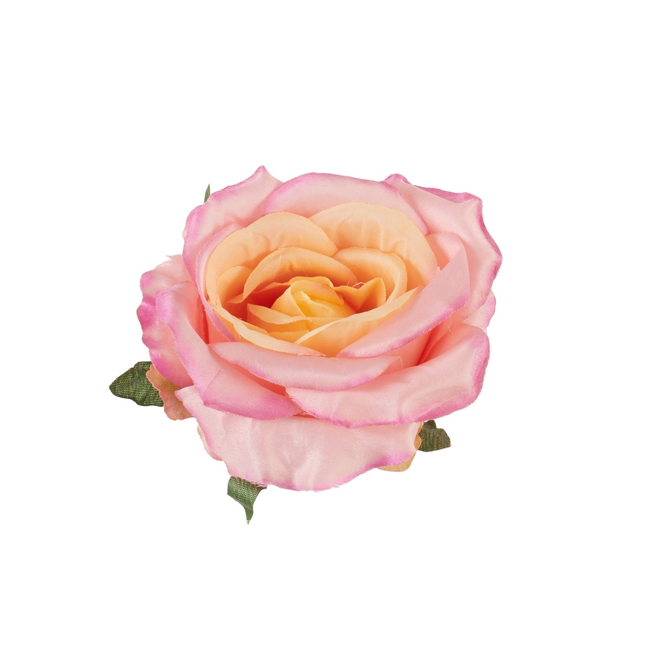 Róża – główka, #083 pink w/green bottom B53-083A