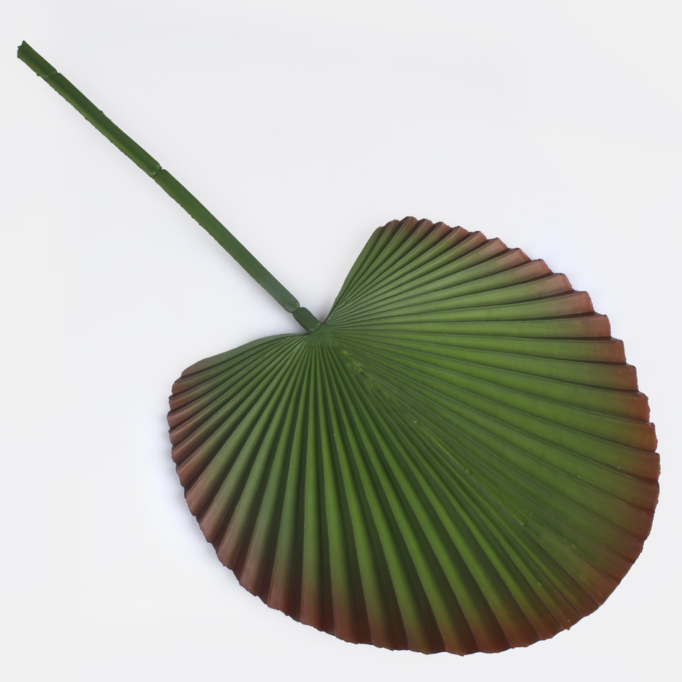 Liść palmy gumowany, Dk. Green w/Red Edge A018-02