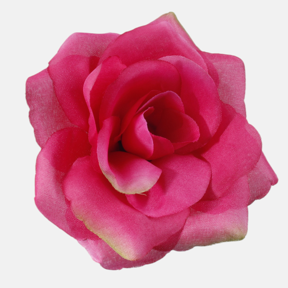 Róża, Beauty W751-12