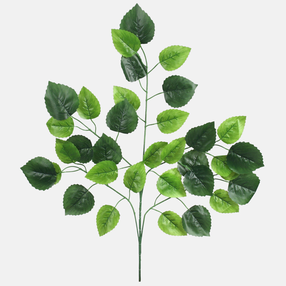 Aspen, Green F228-01