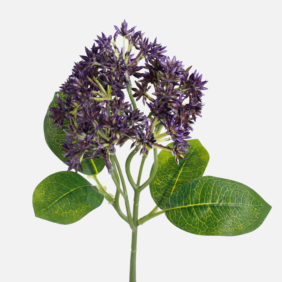 Bez, Lilac A426-02