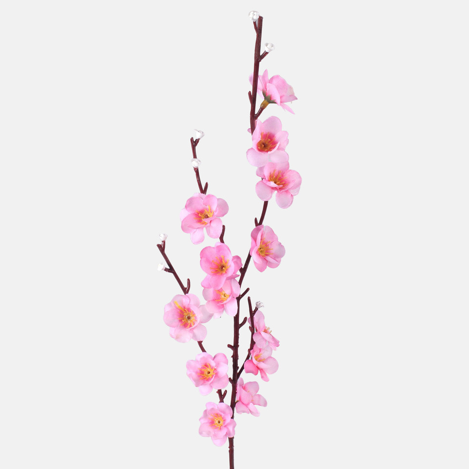 Jabłoń x 3, Pink G209-06