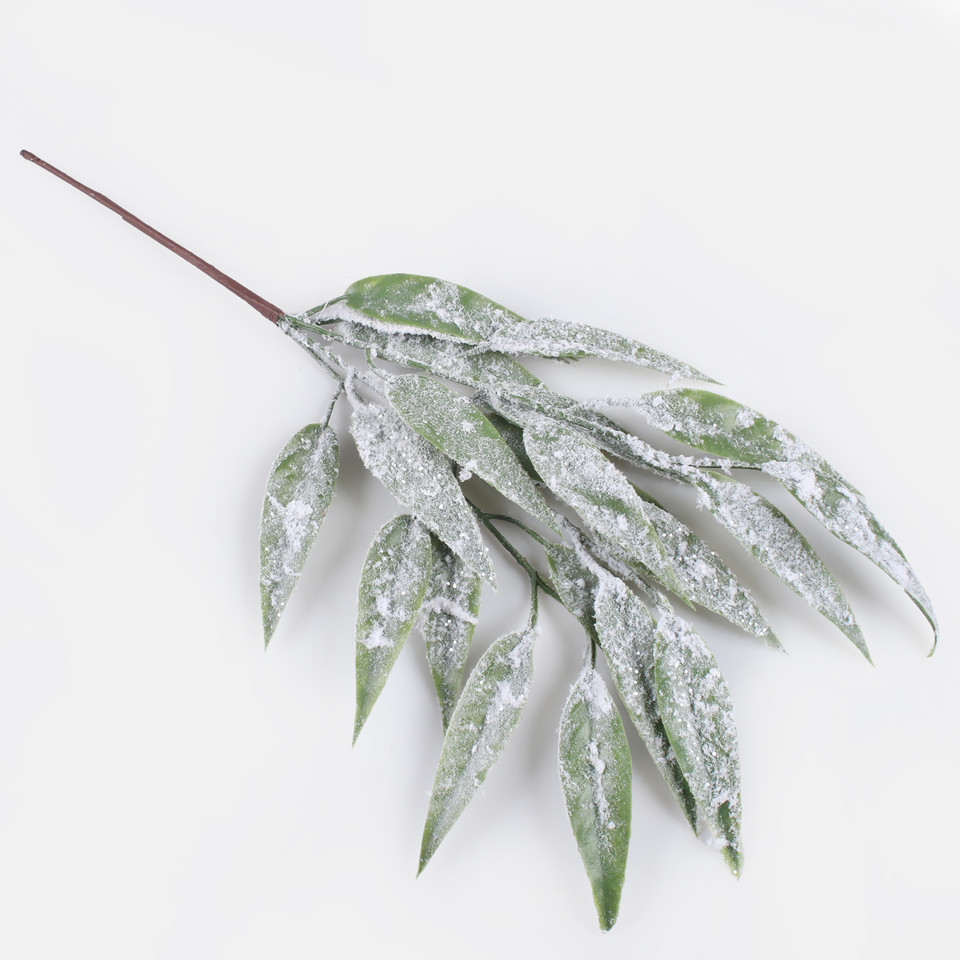 Snow-covered willow, Frosted Green A853S-01