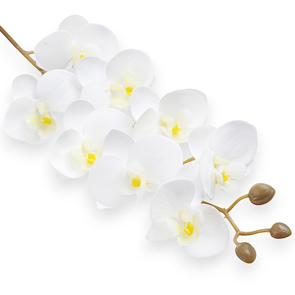 Orchid, White L638L-02