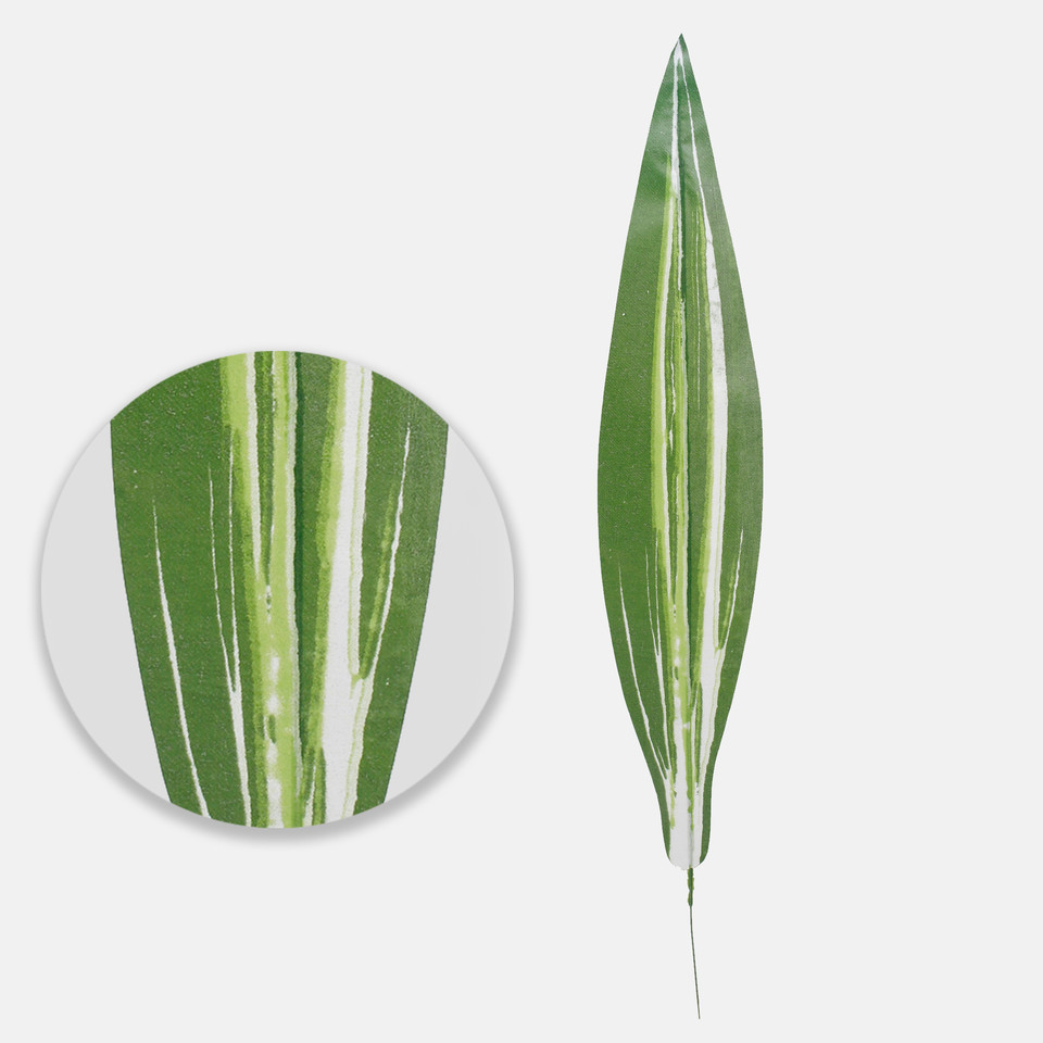 Dracaena leaf, T.T. Green/Cream A232-06