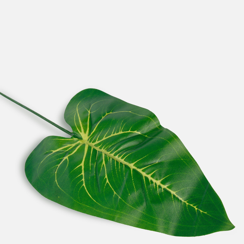 Pothos leaf, Green A337