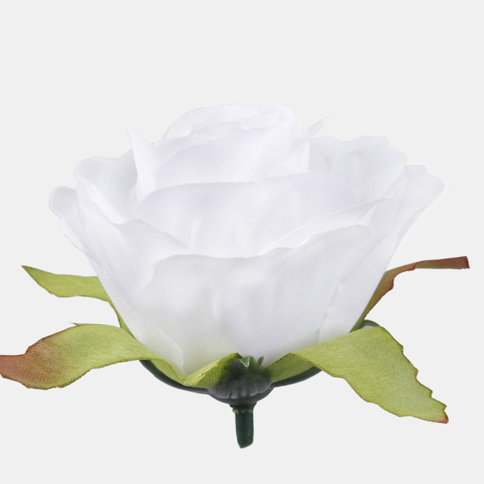 Róża w pąku, Pure White W726-01