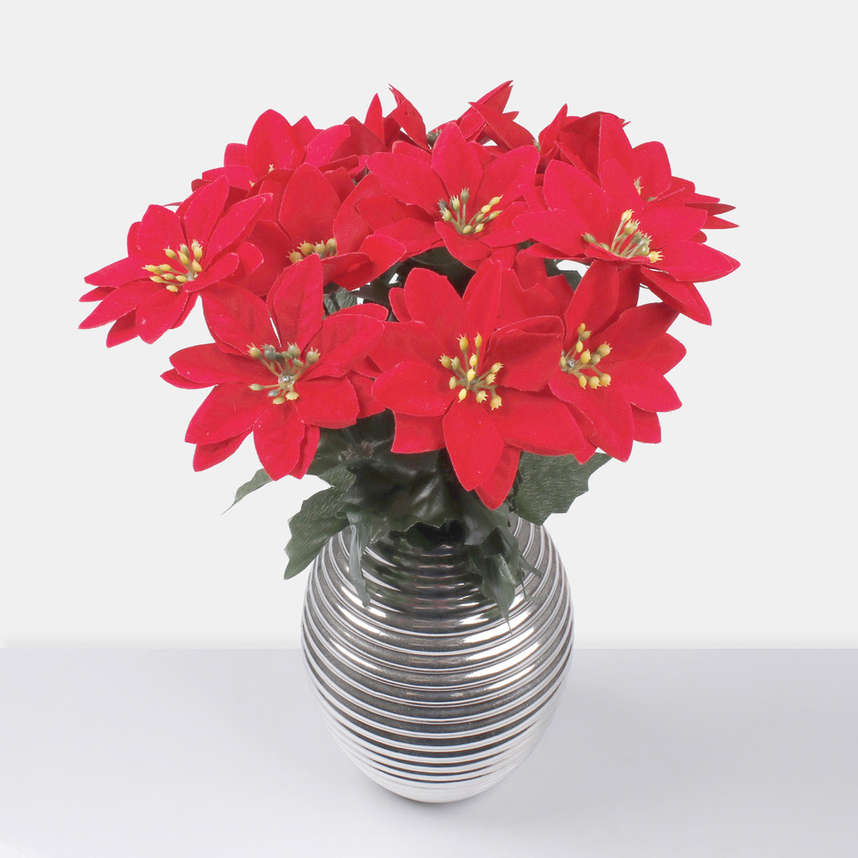 Poinsettia, Red G458S-01
