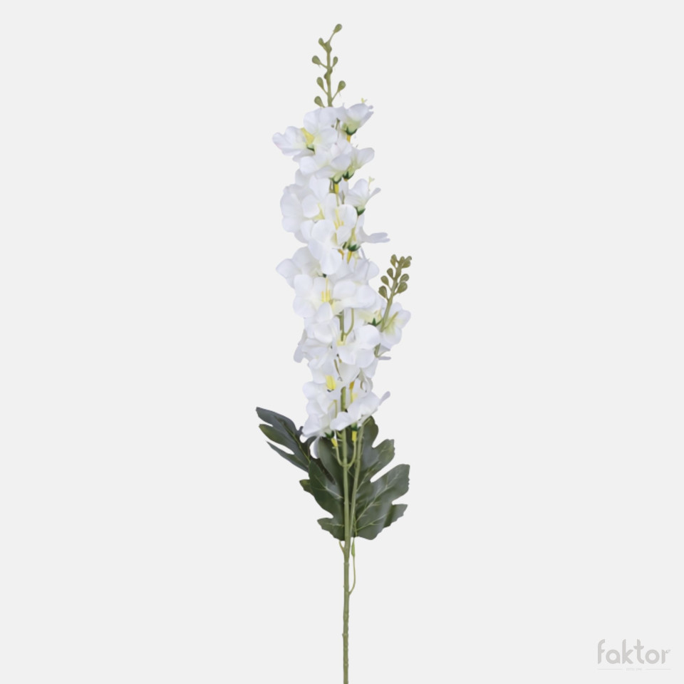 Delphinium, Mix BK244-01