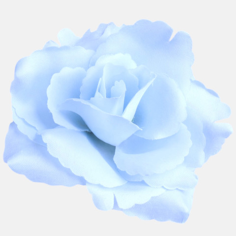Rose, Lt. Blue W529-18