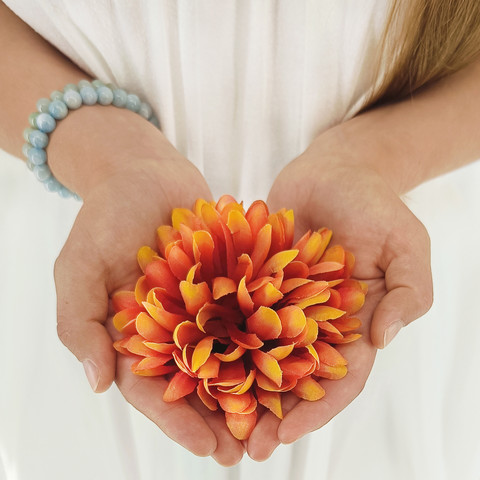 Chrysanthemum W002 (Product size)