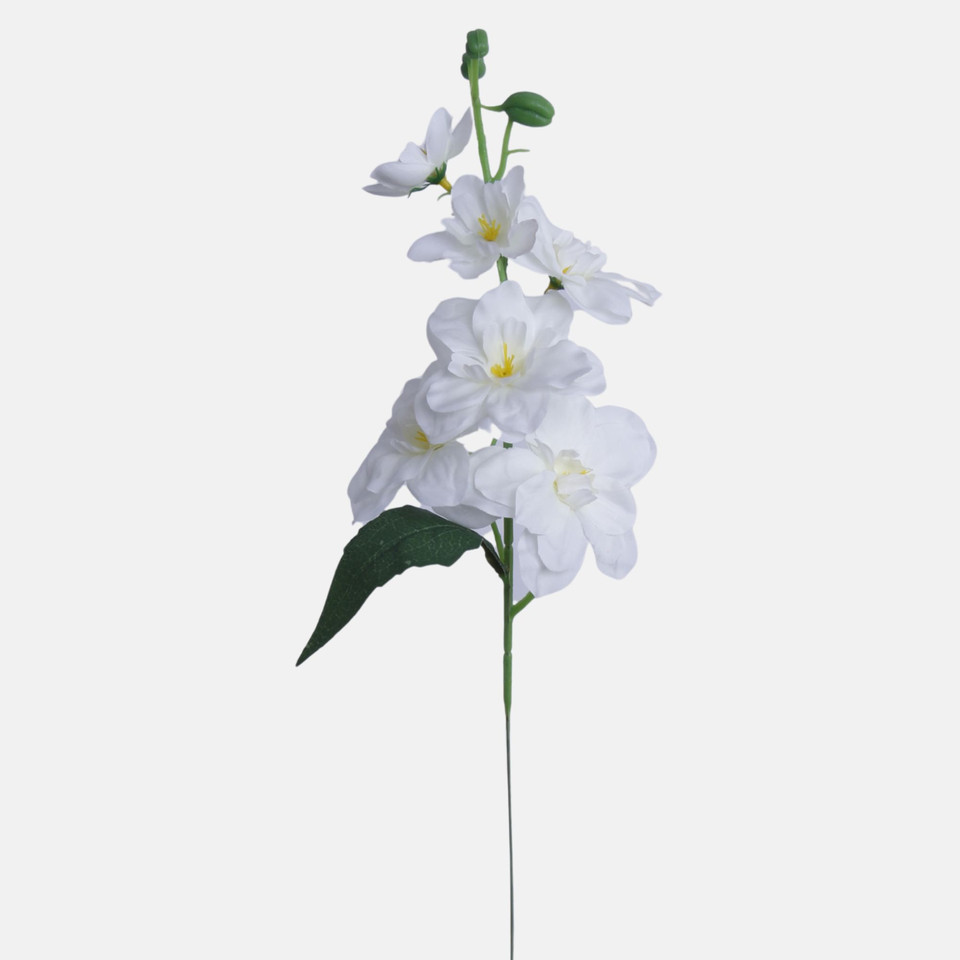 Malwa, White BK651-01