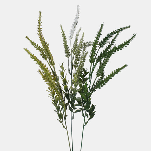 Heather A781