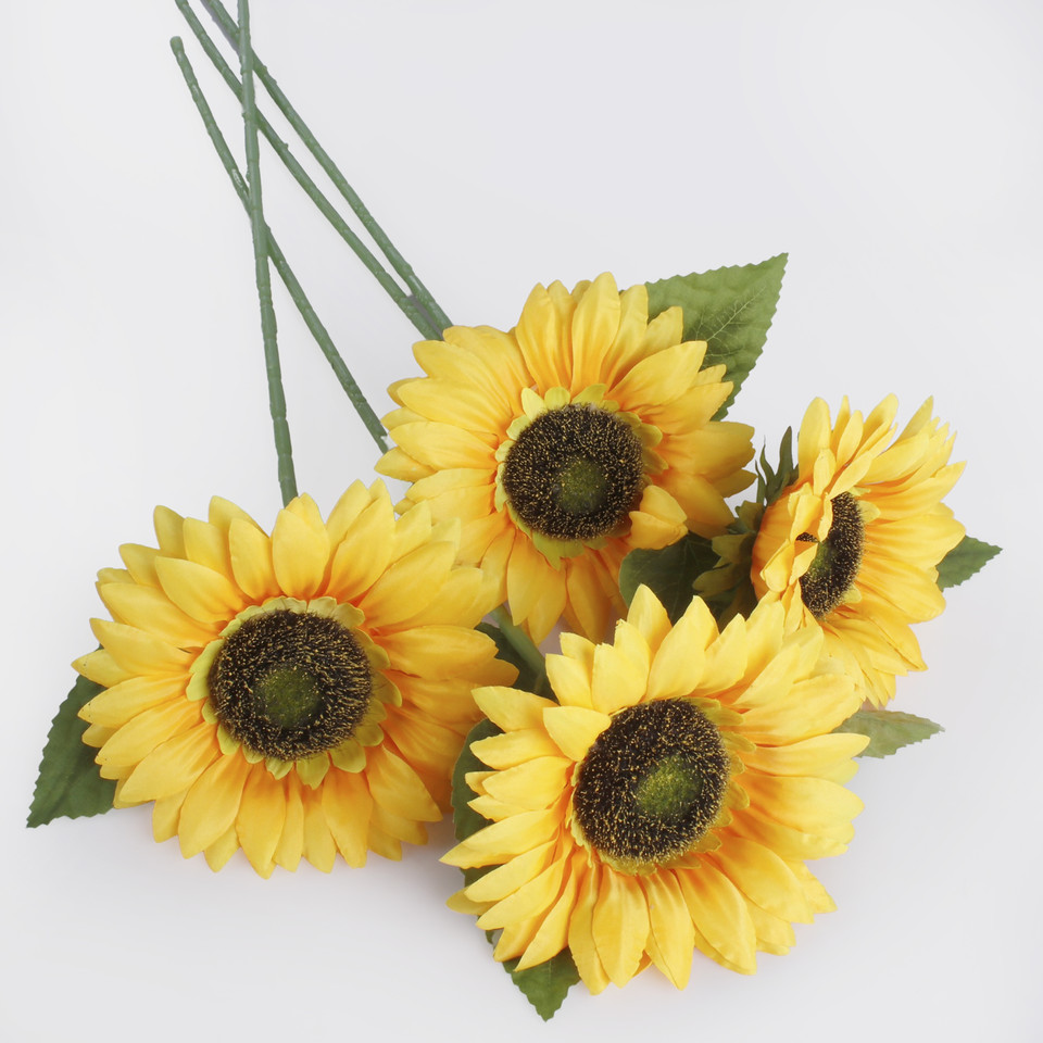 Sunflower, T.T. Yellow L773-01