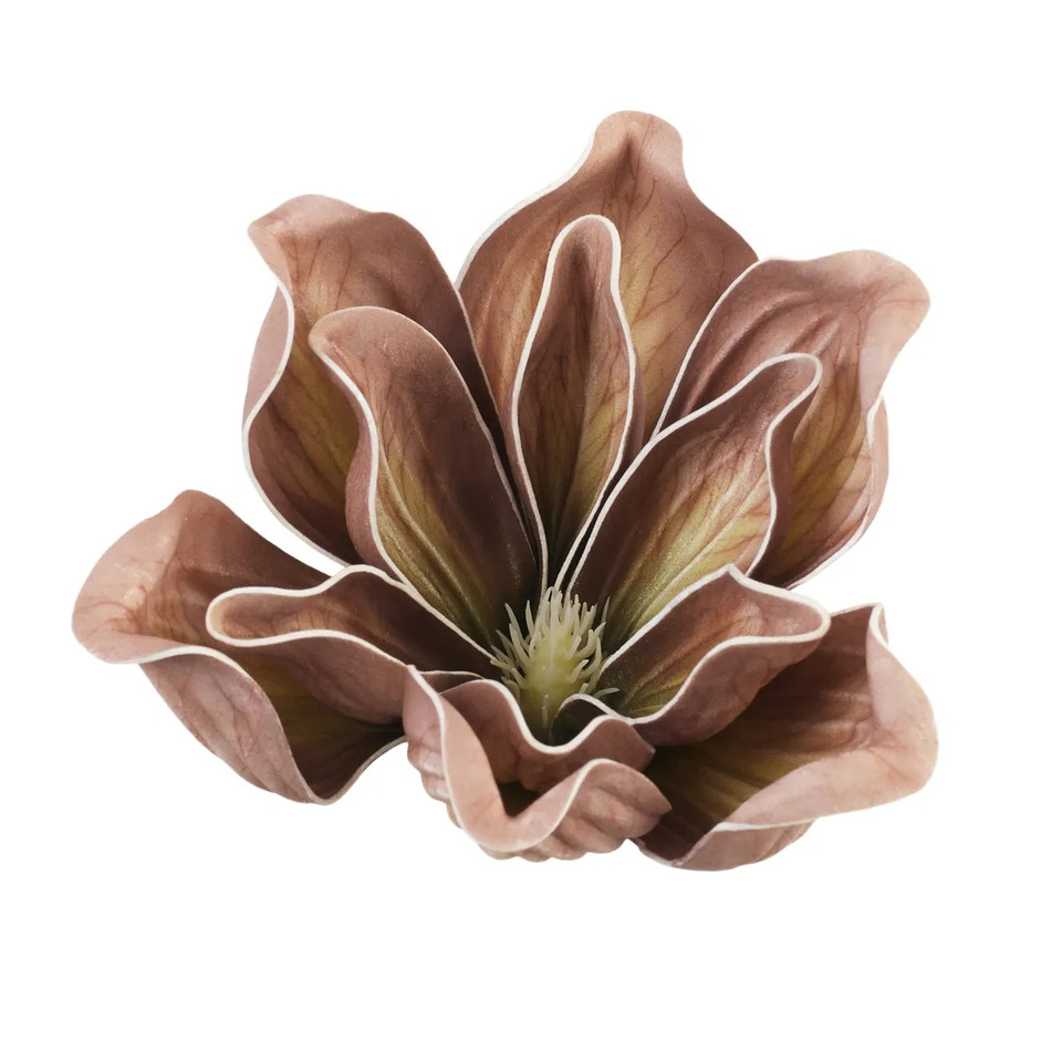 Magnolia, Brown B109-07