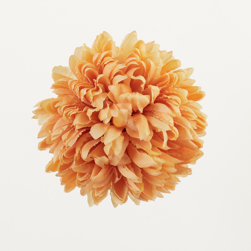 Chryzantema, Autumn Lt. Orange D83-54