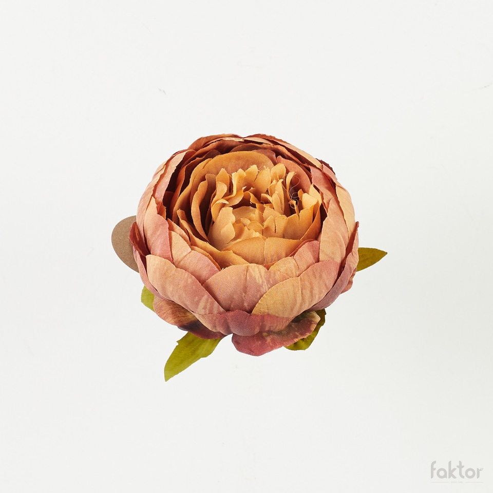 Peonia – główka, 11 B39-11