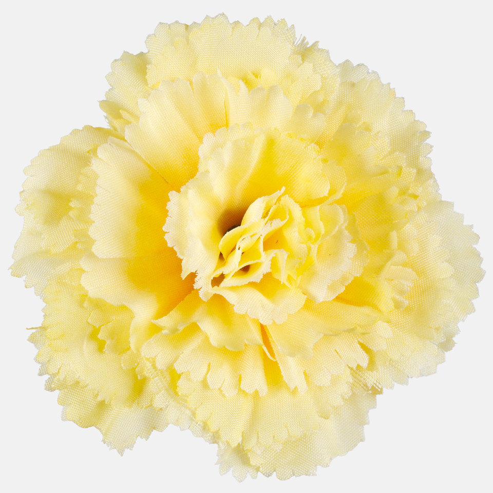 Carnation, Yellow W680-04